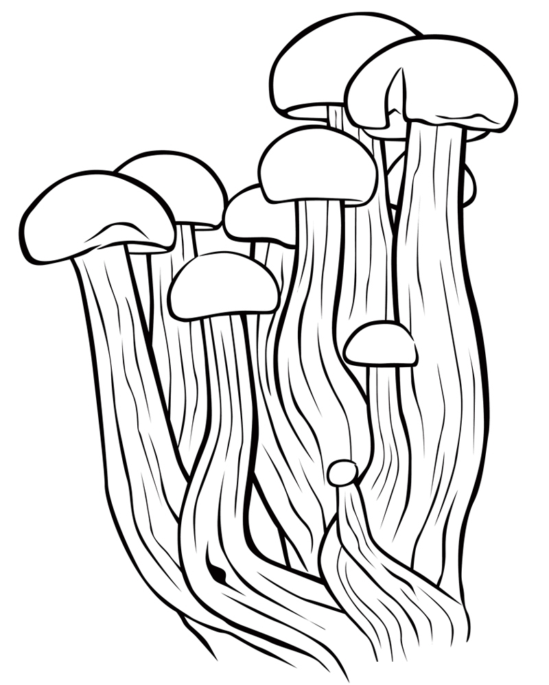 Раскраска грибы для малышей