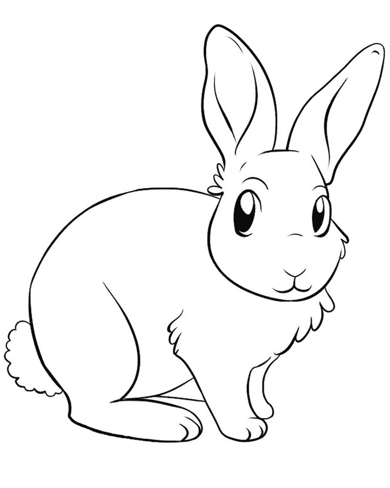 Зайцы, зайчата, кролики Раскраски животных
