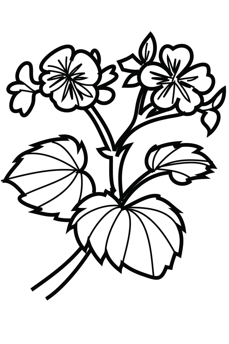 Раскраска цветы для малышей (просто)