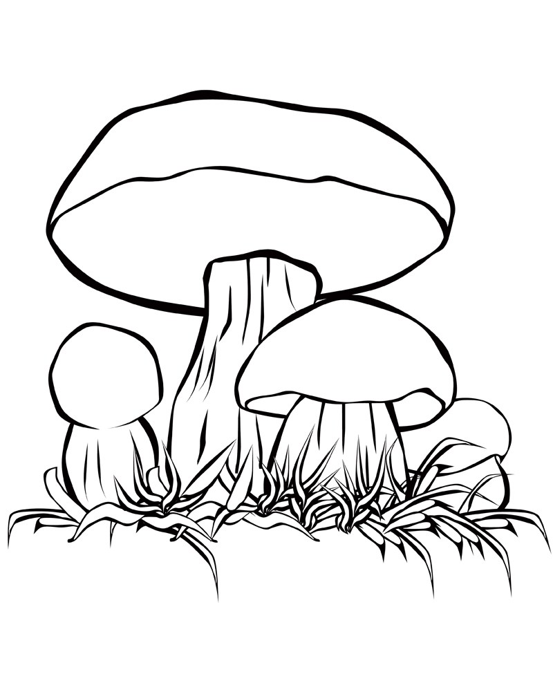 «Рисунок гриб» скачать раскраски