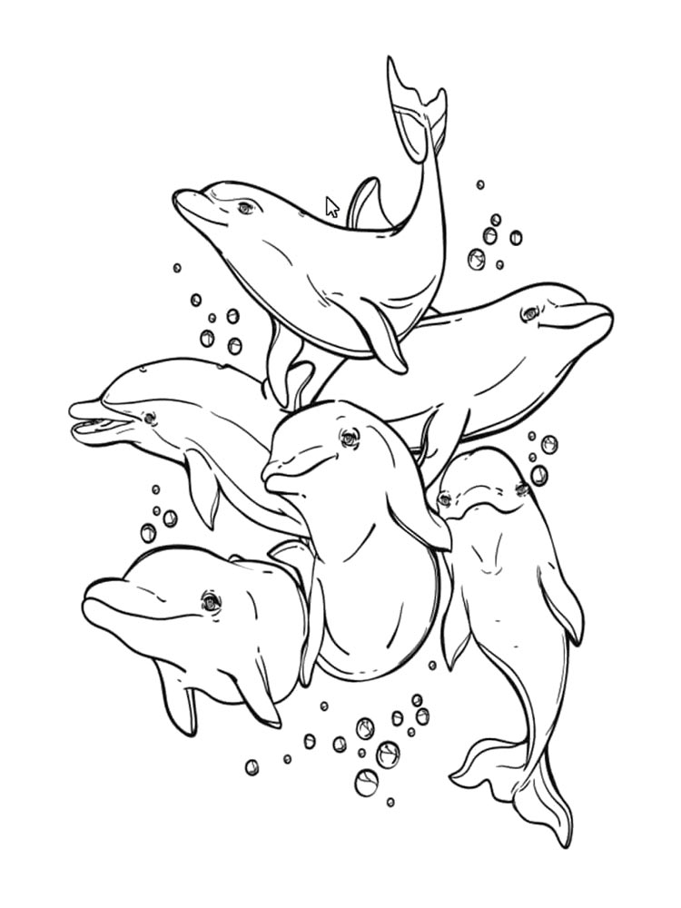 Делфин рисунок