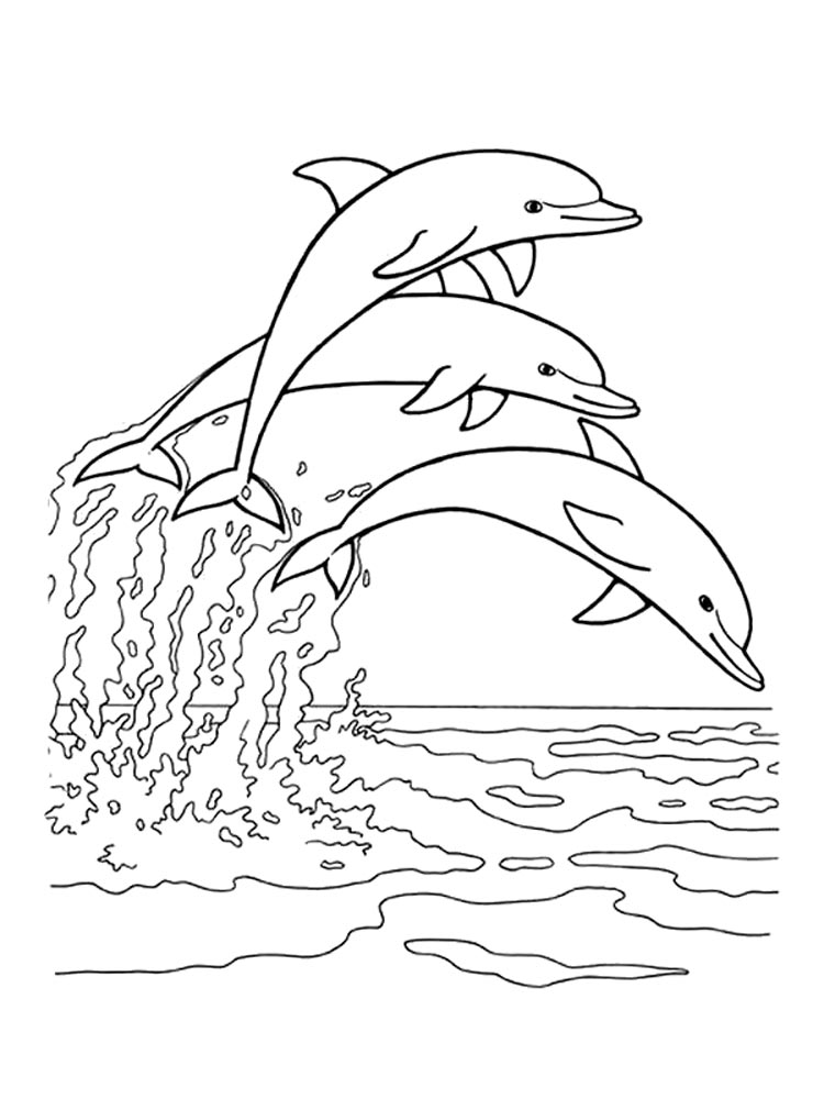 3 Дельфина