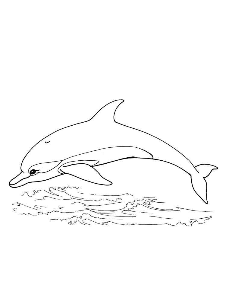 Раскраски дельфинов - Распечатать (А4) бесплатно здесь!