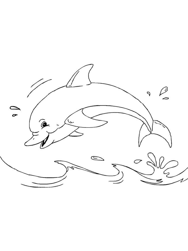 Дельфин ныряет