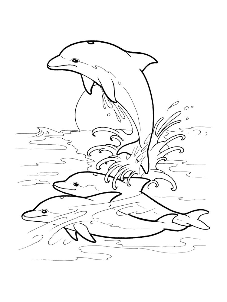 раскраска Группа дельфинов с молодым одной купания в море