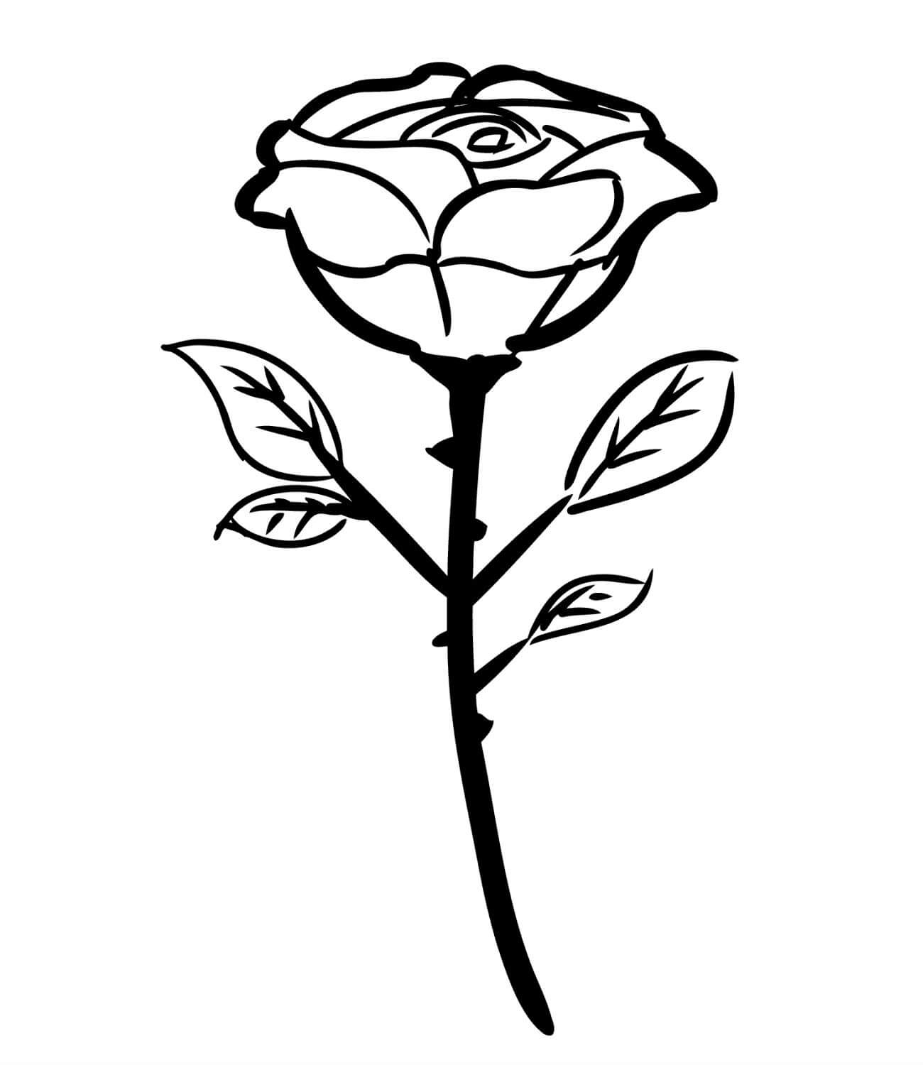 Раскраски Роза для детей распечатать (15+ разукрашек)