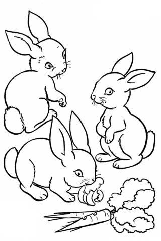 Зайцы, зайчата, кролики