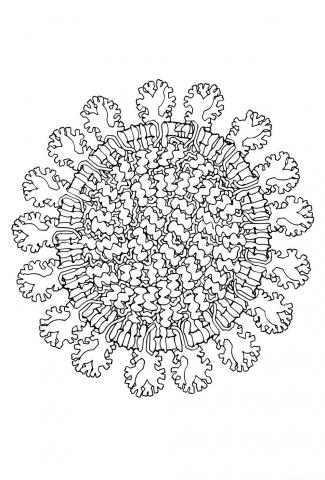 Раскраски про коронавирус