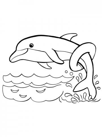 Раскраска дельфин в море
