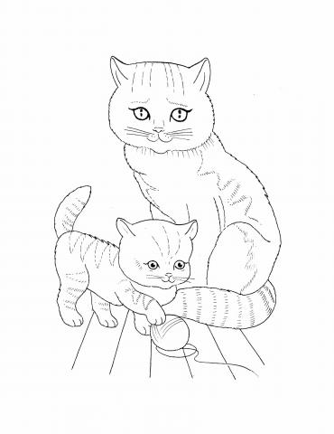 Кошки и котята