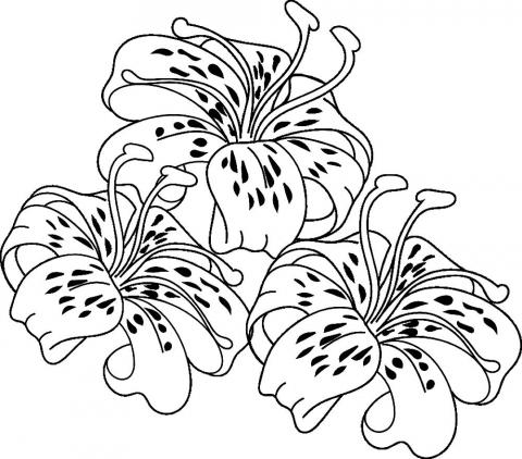 Раскраска цветок с лепестками