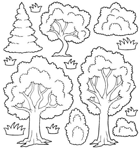 Разные деревья и кустарники